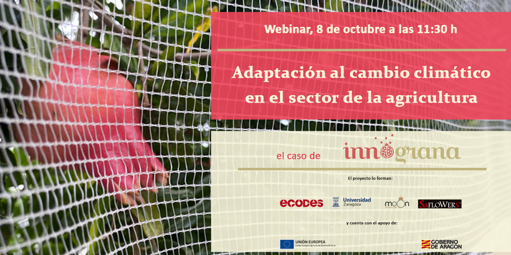 Cerramos el proyecto con un Webinar