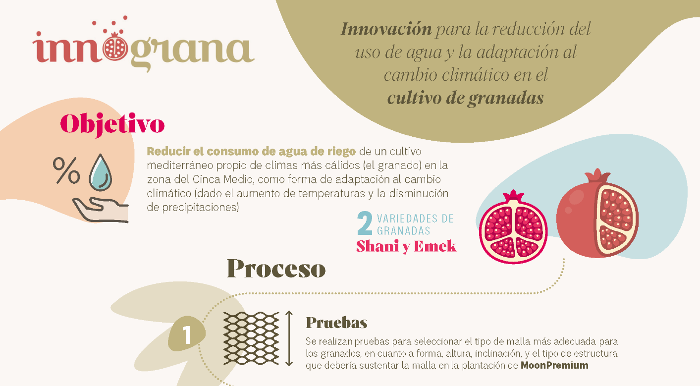 El proyecto Innograna resumido en una infografía